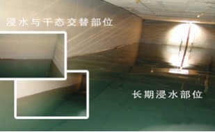 RG聚合物水泥防水实例