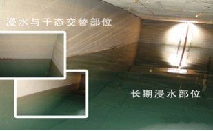 RG聚合物水泥防水实例